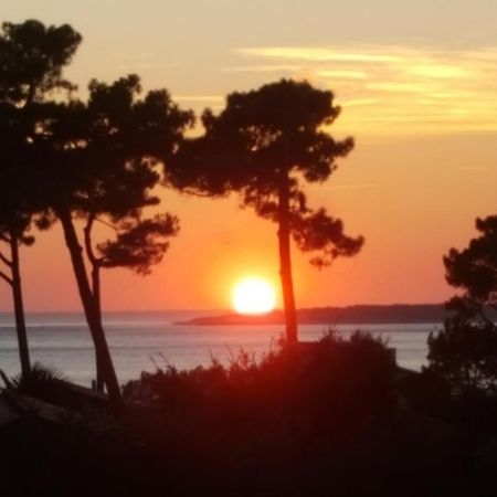 Chambre D'Hotes Pyla Sur Mer La Teste-de-Buch Esterno foto