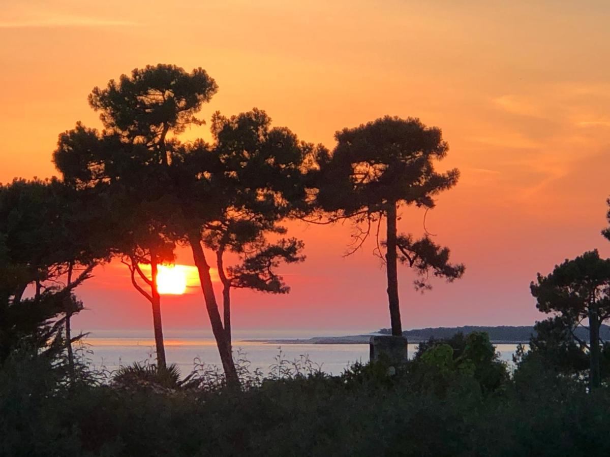 Chambre D'Hotes Pyla Sur Mer La Teste-de-Buch Esterno foto