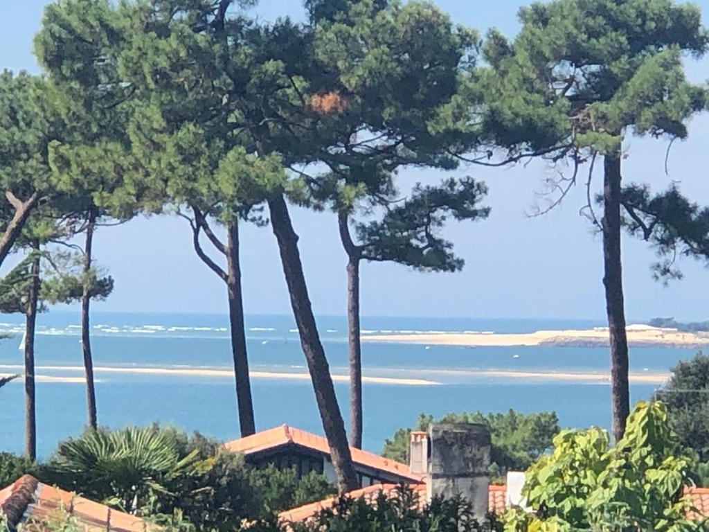 Chambre D'Hotes Pyla Sur Mer La Teste-de-Buch Esterno foto