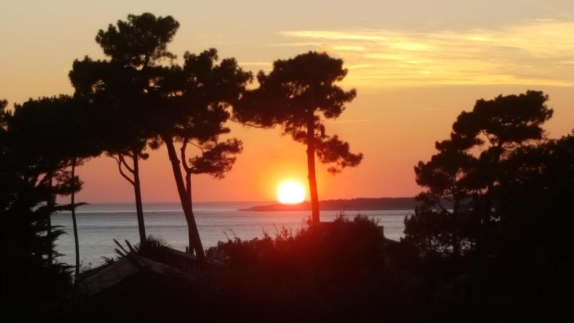 Chambre D'Hotes Pyla Sur Mer La Teste-de-Buch Esterno foto